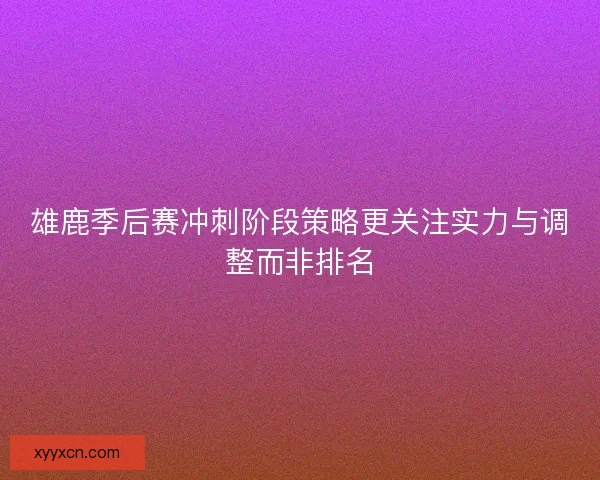 雄鹿季后赛冲刺阶段策略更关注实力与调整而非排名